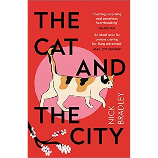 The Cat and the City By Nick Bradley (Paperback)